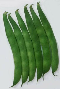 CQy@ȂbR@zMF i͔|p q Ȃ񂰂 B ^LCj