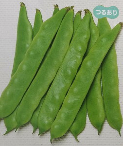 q珬܁E1dLE1LrCQy@邠Wr[m@zTJ^̃^l