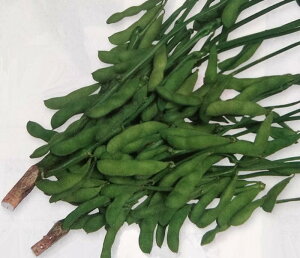 qGF܁E1LrG_}y@]˗΁@z^LCc