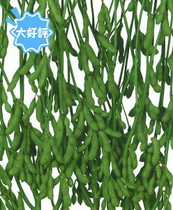 �G�_�}����y�@���@�z���