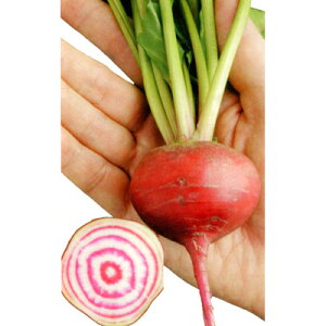 r[cy@SS@zi͔|p q gL^cj