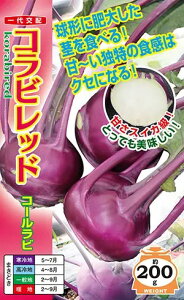 〈小袋・2000粒〉コールラビ種【 コラビ レッド 】ナント種苗