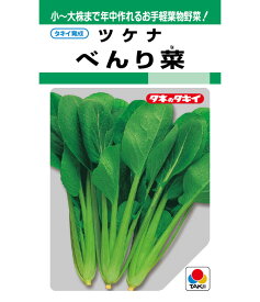 〈MF・GF小袋・20ml・2dL〉ツケナ種【　べんり菜　】タキイ種苗