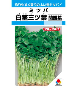 8ȍ~ח\~coy@sOcti֐nj@z^LCc