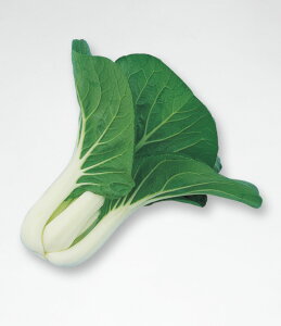 q1dLE1Lr`QTCy@pN`C@z^LCc