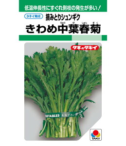 qMFEGF܁E1LrVMNy@ߒtte@z^LCc