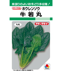 qGF܁EM3rzE\Ey@ہ@z^LCc