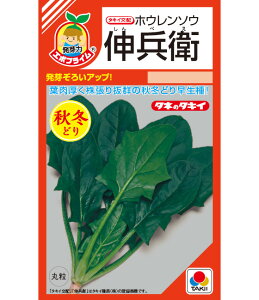 qRF܁EM3EL3rzE\Ey@LqiG{vCqj@z^LCc