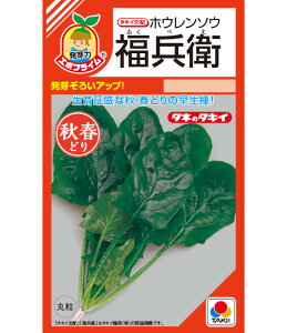 qRF܁EM3EL3rzE\Ey@qiG{vCqj@z^LCc