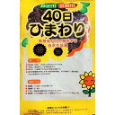 ひまわり種【　緑肥用 40日ひまわり　】6000粒　緑肥 景観用 牧草種子 向日葵 ヒマワリ 宝）