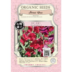 L@qy@XC[gs[/~bNXJ[@z i͔|p q j