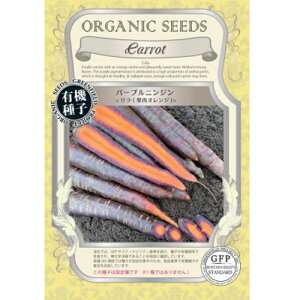 L@qy@p[vjW/qʓIWr@z  i͔|p q Œj