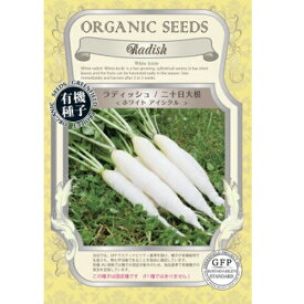 有機種子【　ラディッシュ/二十日大根/ホワイトアイシクル　】 小袋 （栽培用 種子 固定種）