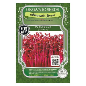 L@qy@A}TXbh / XvEg@z i͔|p q R_@̎EŒEYj