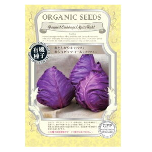 L@qy@ԂƂ񂪂Lxc/ԃVsbcR[qJ{Xr@z i͔|p q Lxcj