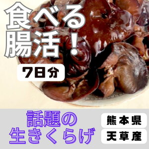 _ F{EVYI^ _ 炰 350g 7 ̂ꂽĎYn N[֔z LNQ