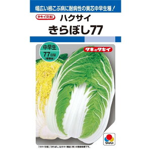 7ȍ~׌㔭\nNTCy@ڂ77@z^LCc