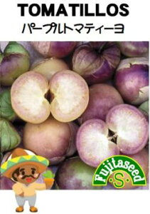 ؎y@HpzIYL p[vg}eB[@zcq