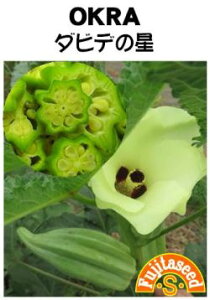 V12ȍ~ח\؎y@IN _rf̐@zcq