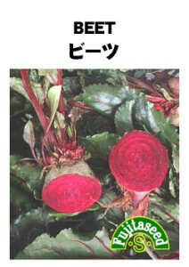 野菜種【 ビーツ 】藤田種子