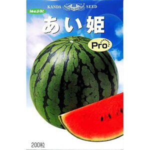 XCJy@P Pro@z i͔|p q _cj