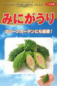 ɂES[y@݂ɂ@z i͔|p q _cj