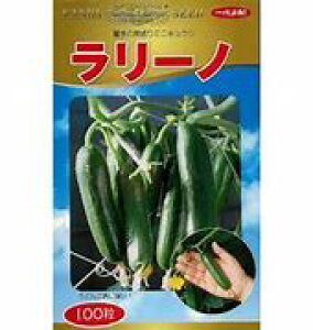 LEy@[mi~jLEj@z i͔|p q _cj