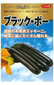 YbL[jy@ubNE{[@z i͔|p q _cj