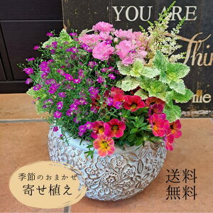 y܂񂹐AzyzX^btXX̕c̊񂹐A ̓   ܂ 񂹐A IV ̓Mtg ̓Mtg v[g 蕨 a j K[fjO