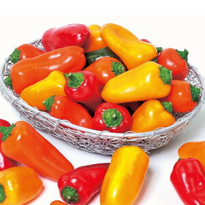 V12ȍ~ח\pvJy ςՂ[ z珬܁@TJ^̃^l