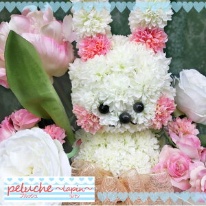 ypeluche@vbVz yzAj}AW@A[eBtBVt[()@@AW@ETM LF Aq  ƂĂ@@A EyyM