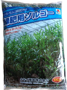 ソルゴー種 緑肥用ソルゴー (1kg)[ソルゴー ソルガム 有機 牧草種子 緑肥ソルガム]