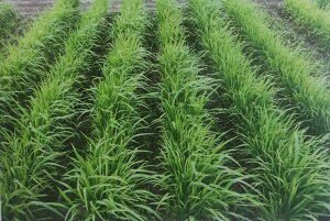 q1kgE20kgr~bgy@VqG@zc