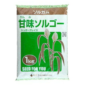 ※発芽率保証期限10月末までソルガム種【 甘味ソルゴー 】カネコ種苗