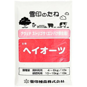 q1kgE20kgrAEFiXgSTi񔞖쐶jy@wCI[c@zc