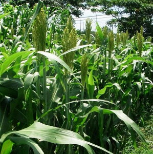 q1kgE20kgr\Ky@Zڃ\S[@zc