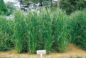 q1kgE20kgE22.5kgrC^ACOXy@^`}T@zc