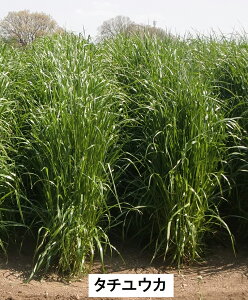 2025N9ȍ~ח\C^ACOXy@^`EJ@zc