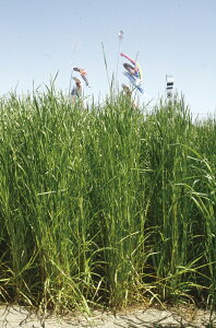 q1kgE20kgE22.5kgrC^ACOXy@^`V@zc