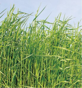 q1kgE20kgr`V[y@}IC@zc