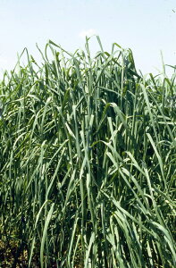 q500gE10kgE22.5kgrI[`[hOXy@AL~h2@zc