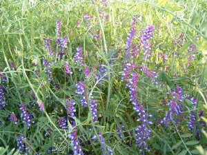 q1kgE20kgrwA[xb`y@܂ߏiiCj@zc