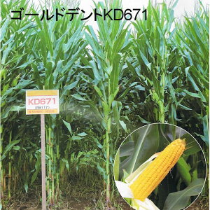 gERVy@S[hfgKD671i117j@zJlRc