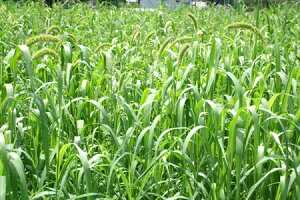 q1kgE20kgr~bgy@C^A~bg@zJlRc