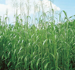 q1kgE20kgrX[_OXy@x[X[_@z^LCc