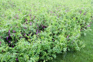 q1kgE10kgrwA[xb`y@܂߂@zJlRc