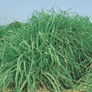 `V[y@NC}bNX@z^LCc@ 1L