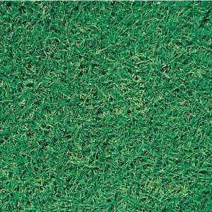 ł̎y@o~[_OXEI@z(Ή@ő@΁@^LCcj