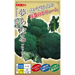 �u���b�R���[��y�@��������@�z �i���g��c