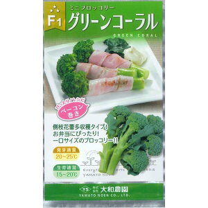 ubR[y@F1O[R[@zi͔|p q@a_j